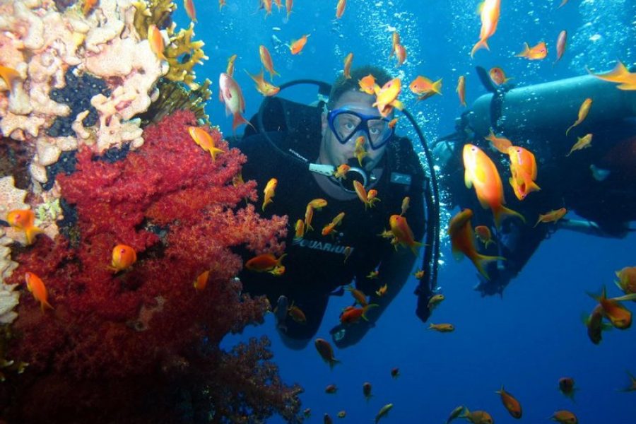 DISCOVER SCUBA DIVING (1)_tn