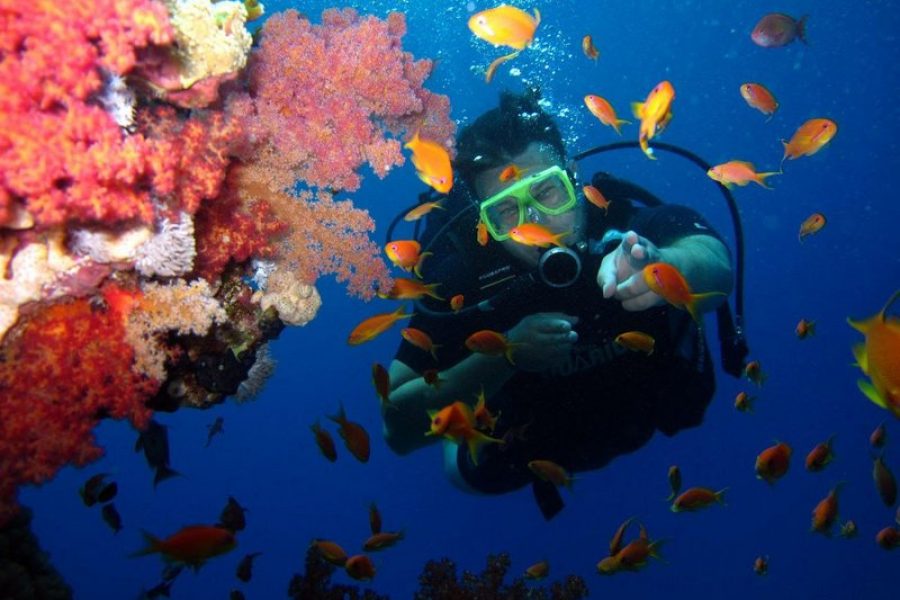 DISCOVER SCUBA DIVING (3)_tn