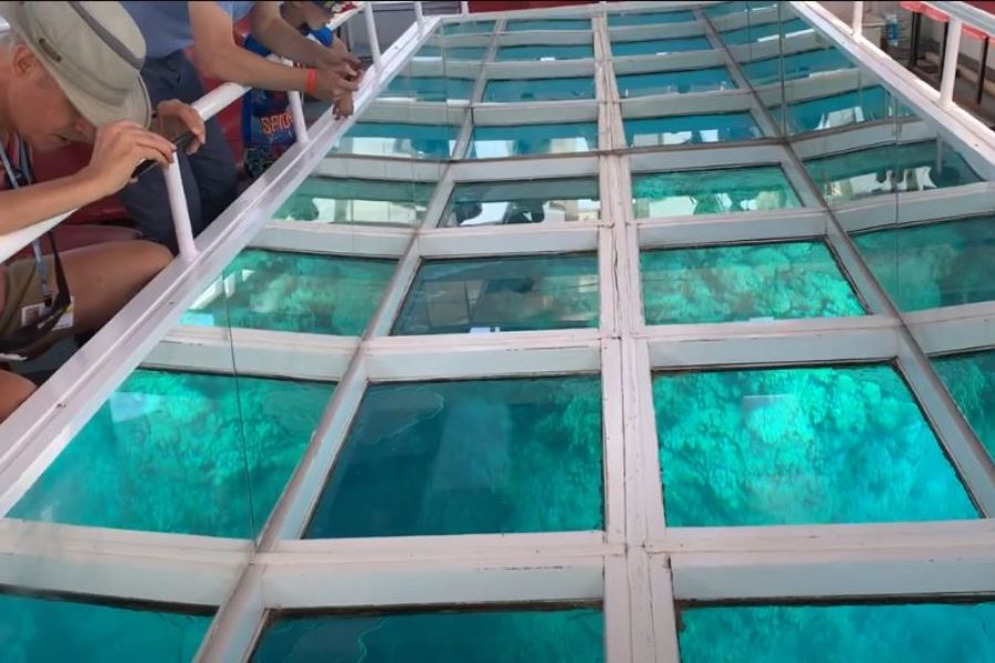 Glass Bottom Boat Trip (1)