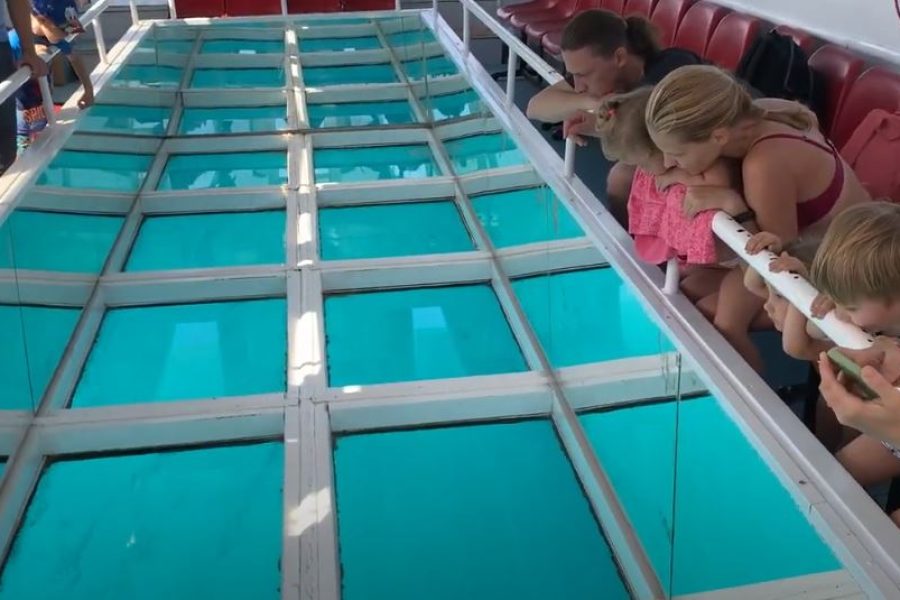 Glass Bottom Boat Trip (3)