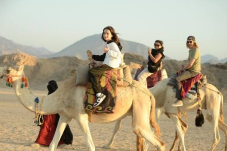 Safari 5 in 1 Quads, Camels, Show, Dinner & Star Gazing (8)