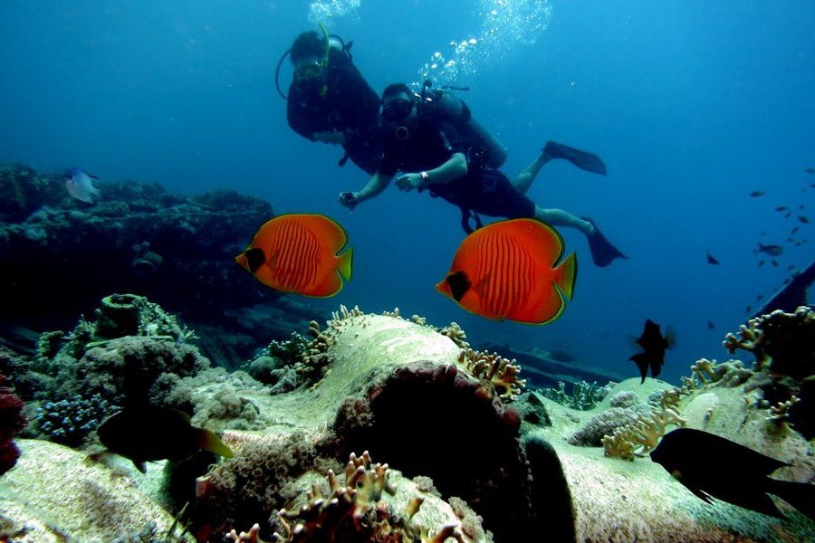 daily diving boats