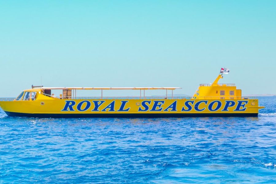 royal sea scoup (1)_tn