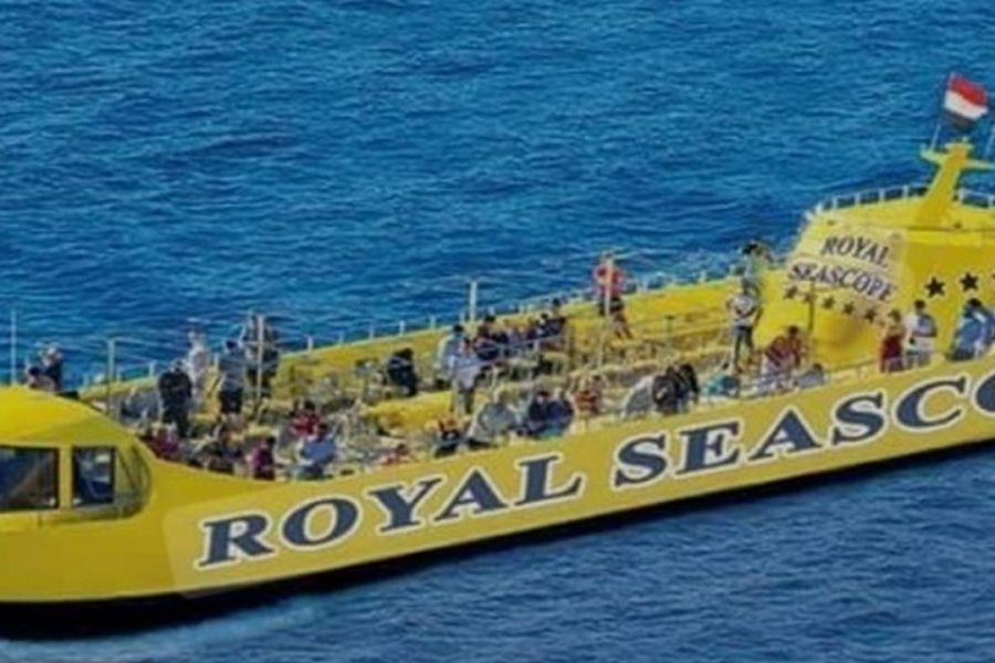 royal sea scoup (2)_tn